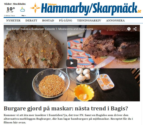 bugburgerilokaltidning